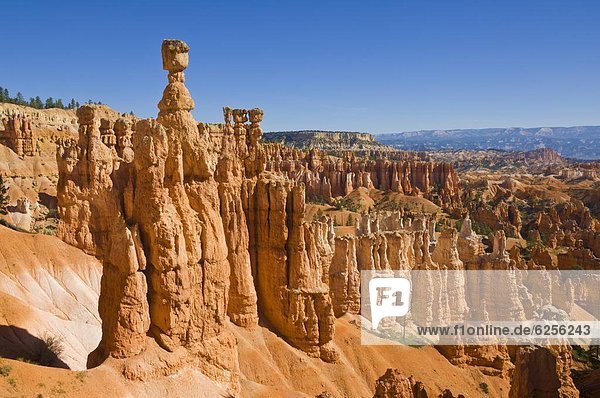 Vereinigte Staaten von Amerika  USA  folgen  wandern  Nordamerika  Amphitheater  Bryce Canyon Nationalpark  Navajo  Utah