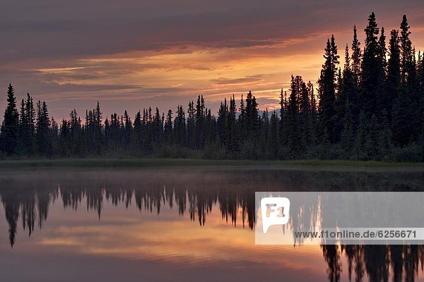 nahe  Sonnenuntergang  See  Nordamerika  Yukon  Alaska Marine Highway  Kanada