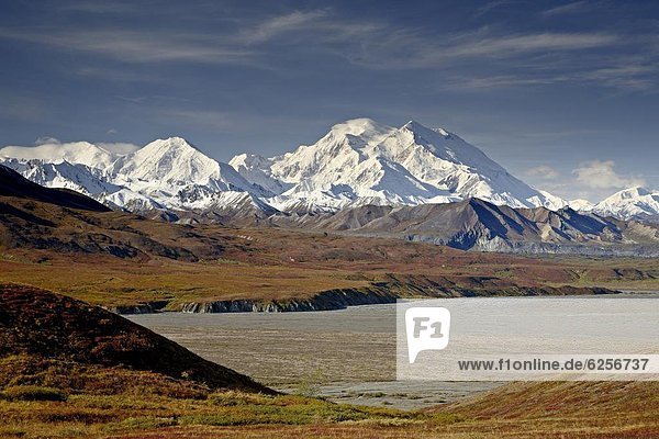 Vereinigte Staaten von Amerika  USA  Nordamerika  Denali Nationalpark  Alaska