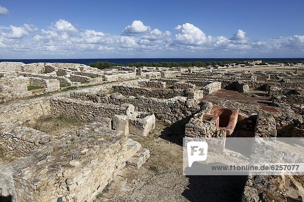 Phoenician ruins with Mediterranean Sea beyond  Kerkouane Archaeological Site  UNESCO World Heritage Site  Tunisia  North Africa  Africa