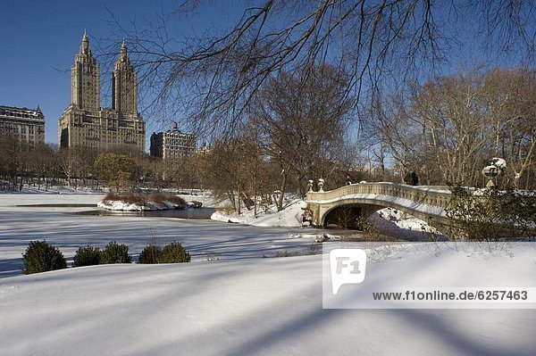 Vereinigte Staaten von Amerika  USA  New York City  Frische  Blizzard  Brücke  Nordamerika  Unterricht  Mittelpunkt  New York State  Schnee