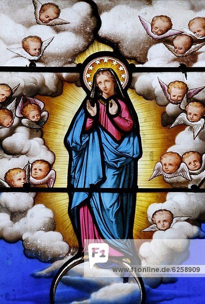 Frankreich  Europa  Glas  Schmutzfleck  Kathedrale  Heiligtum  Regenwald  Jungfrau Maria  Madonna  Blois  Loir-et-Cher
