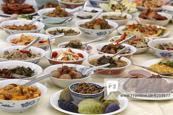 Thailändisches Essen angeboten während eines Festivals am Buddhapadipa-Tempel  Wimbledon  London  England  Großbritannien  Europa