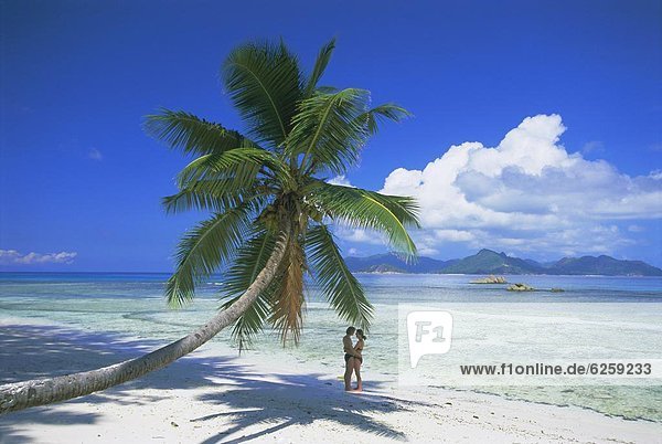Anse Severe beach  La Digue Island  Seychelles  Indian Ocean  Africa