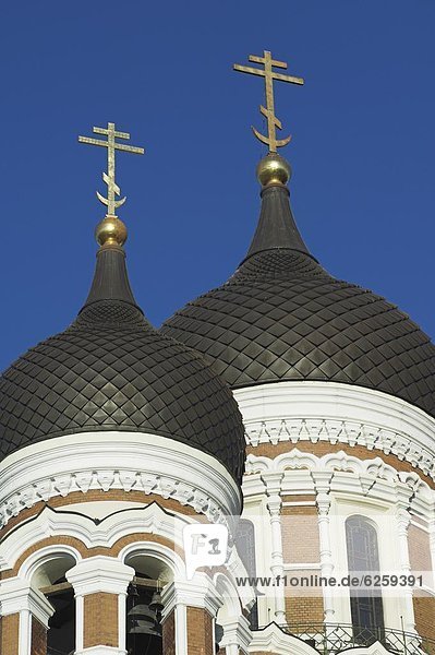 Tallinn  Hauptstadt  Kuppel  Europa  Kathedrale  Estland  Russisch-Orthodoxe Kirche