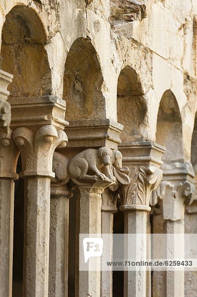 The Franciscan Monastery  Dubrovnik  UNESCO World Heritage Site  Dubrovnik-Neretva county  Croatia  Europe