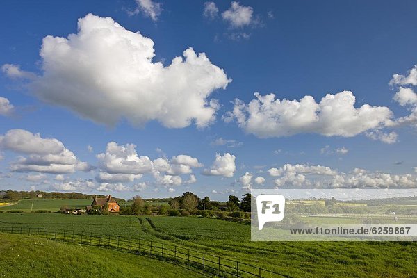 Europa Schönheit Wolke Großbritannien Himmel füllen füllt füllend Feld Dorset England