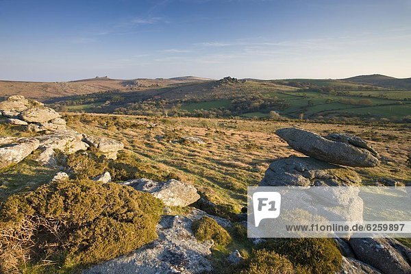 Europa  sehen  Großbritannien  Horizont  Heu  Jagdhund  erklären  Devon  England  Granit