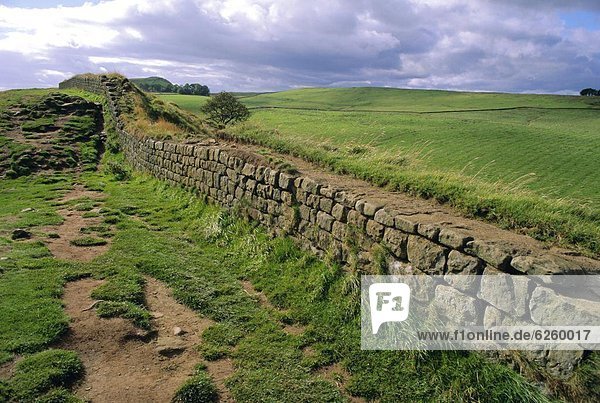 Hadrian's Wall dating from Roman times  looking towards Crag Lough  Northumbria (Northumberland)  England  UK  Europe