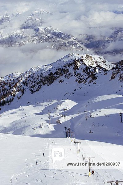 Powder skiing at Whistler mountain resort  venue of the 2010 Winter Olympic Games  British Columbia  Ca0da  North America