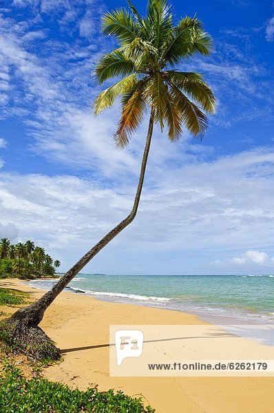 Tres Palmitas Strand  Puerto Rico  Westindien  Caribbean  Mittelamerika