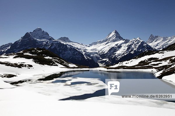 Europa  Alpen  Bachsee  Westalpen  Berner Oberland  Grindelwald  Schweiz
