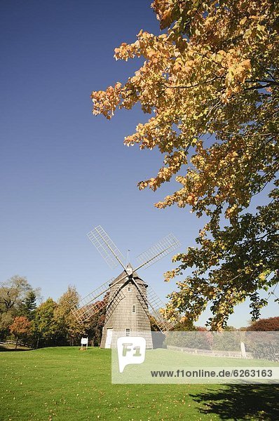 Alte Windmühle in Hook  Ost Hampton  den Hamptons  Long Island  New York State  Vereinigten Staaten von Amerika  Nordamerika