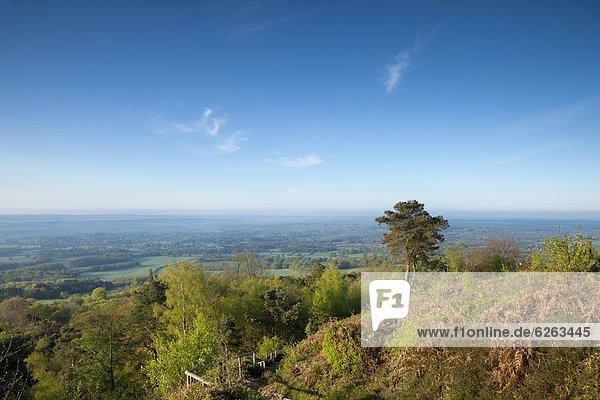 Europa  Morgen  Großbritannien  Ansicht  zeigen  Süden  England  Surrey  surrey hills