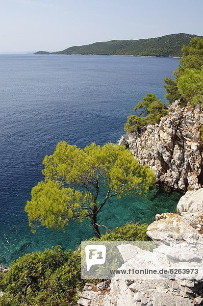 In der Nähe von Agnotas  Skopelos  Sporades Inseln  griechische Inseln  Griechenland  Europa