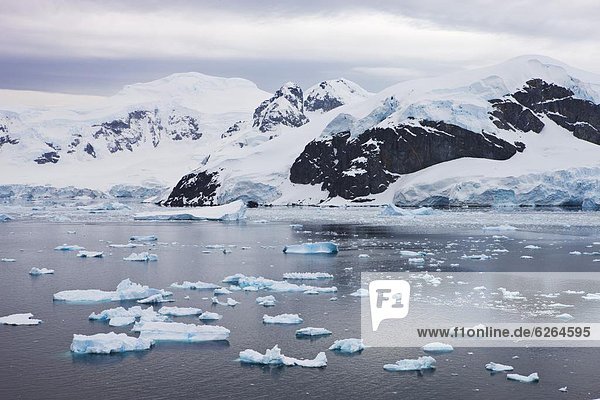 Hafen  Berg  Gletscher  Eisberg  Antarktis  Paradies