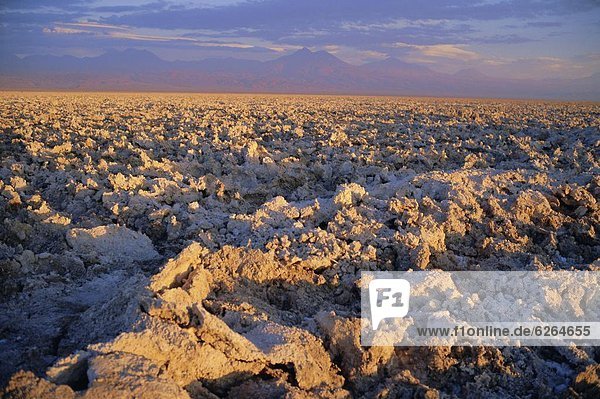 Atacama  Chile  Speisesalz  Salz  Südamerika
