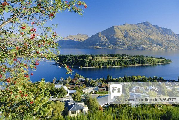 neuseeländische Südinsel  Australasien  Neuseeland  Otago  Queenstown