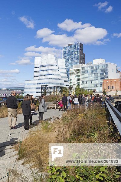 People walking on the High Line  a one mile New York City park  New York  United States of America  North America