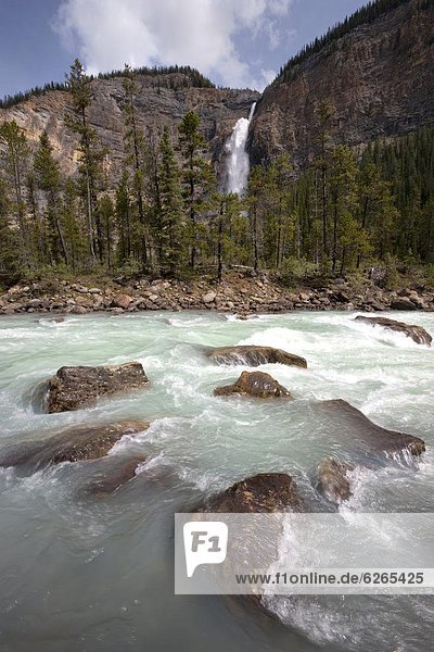 treten  Fluss  Nordamerika  Rocky Mountains  UNESCO-Welterbe  Takakkaw Falls  Yoho Nationalpark  British Columbia  Kanada