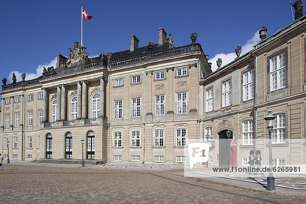 Guards at the Amalienborg Castle  Copenhagen  Denmark  Scandinavia  Europe