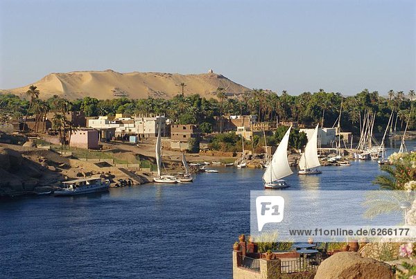 Nordafrika  Assuan  Ägypten