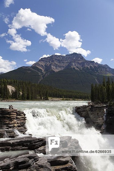 Athabasca Falls  Jasper National Park  UNESCO World Heritage Site  British Columbia  Rocky Mountains  Canada  North America