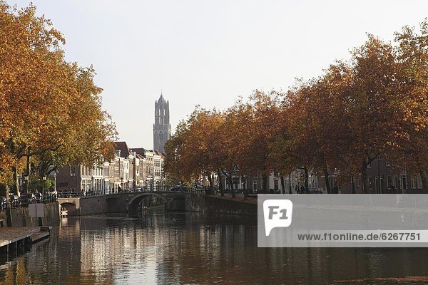 Europa  Tag  Wasserweg  Herbst  Sonnenlicht  Niederlande  Utrecht