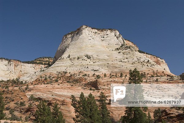 Vereinigte Staaten von Amerika  USA  Nordamerika  Bundesstraße  Ansicht  Berg  Zion Nationalpark  Utah