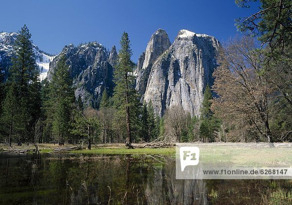 Vereinigte Staaten von Amerika  USA  Felsbrocken  Baum  Spiegelung  See  Kathedrale  Yosemite Nationalpark  Kalifornien
