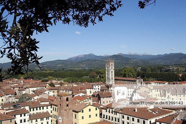 View of Lucca from the Giunigi Tower  Lucca  Tuscany  Italy  Europe