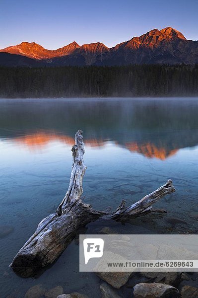 Beleuchtung Licht See Nordamerika seicht Kälte Rocky Mountains Jasper Nationalpark UNESCO-Welterbe Alberta Kanada Treibholz