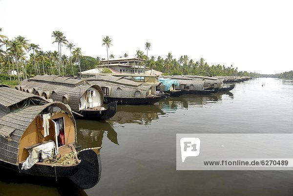 Houseboats moored in the backwaters of Alleppey  Kerala  India