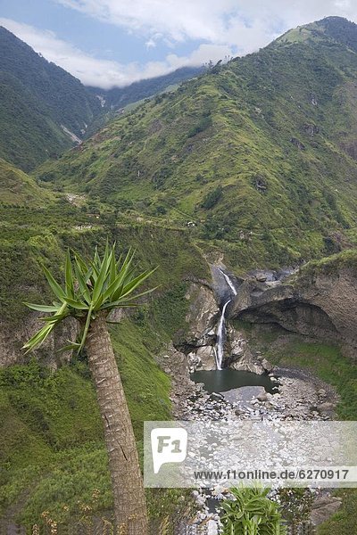 Tal  fließen  Wasserfall  Sehenswürdigkeit  Anden  Ecuador  Südamerika