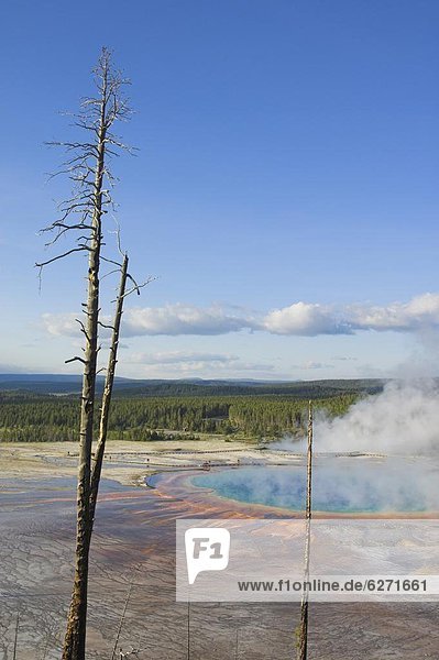 Grand Prismatic Spring  Midway Geyser Basin  Yellowstone 0tio0l Park  UNESCO World Heritage Site  Wyoming  United States of America  North America