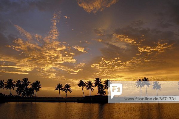 Sunset over the Backwaters of Alleppey  Kerala  India  Asia