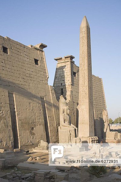Nordafrika  Verkehrshütchen  Leitkegel  groß  großes  großer  große  großen  UNESCO-Welterbe  Afrika  Ägypten  Luxor  Luxor Tempel  Obelisk