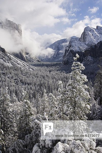 Vereinigte Staaten von Amerika  USA  Frische  Tal  Nordamerika  Yosemite Nationalpark  UNESCO-Welterbe  Kalifornien  Schnee