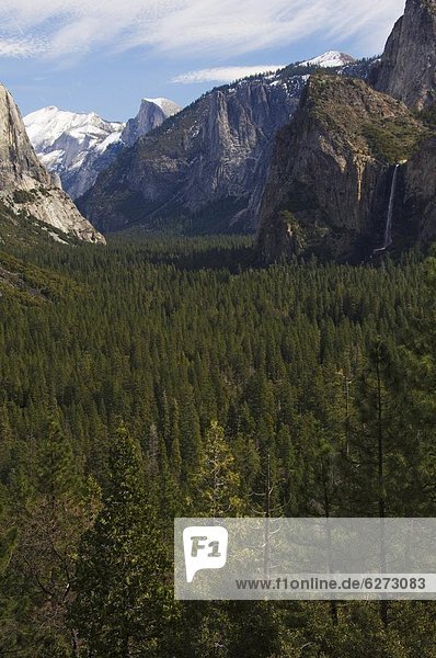 Vereinigte Staaten von Amerika  USA  Kuppel  Braut  Tal  Nordamerika  Yosemite Nationalpark  UNESCO-Welterbe  Kalifornien  Kuppelgewölbe  Hälfte