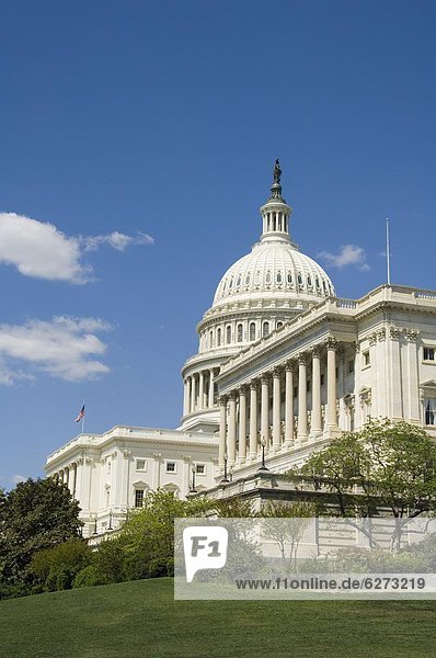 U.S. Capitol Building  Washington D.C. (District of Columbia)  United States of America  North America