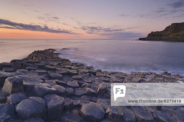 Hexagonal basalt columns of the Giant's Causeway  UNESCO World Heritage Site and Area of Special Scientific Interest  near Bushmills  County Antrim  Ulster  Northern Ireland  United Kingdom  Europe