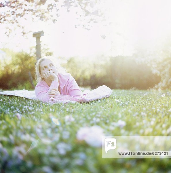 Vereinigte Staaten von Amerika  USA  Frau  Entspannung  Rasen  Kirsche  Blüte  umgeben  Washington State