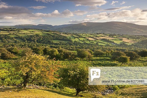 rollen  Europa  Berg  Großbritannien  schwarz  Leuchtturm  Feld  Powys  Wales