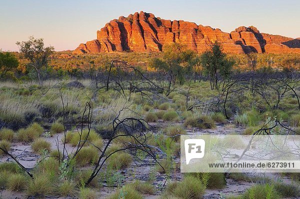 Die Kuppeln  Bungle Bungle  Purnululu-Nationalpark  UNESCO Weltkulturerbe  Kimberley  Westaustralien  Australien  Pazifik