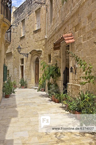 Valletta  Malta  Europa