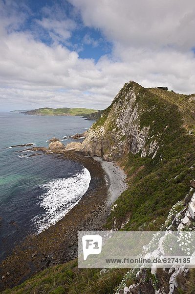 Pazifischer Ozean  Pazifik  Stiller Ozean  Großer Ozean  neuseeländische Südinsel  Neuseeland  Otago