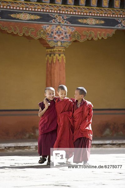 Young Buddhist monks  Paro Dzong  Paro  Bhutan  Asia