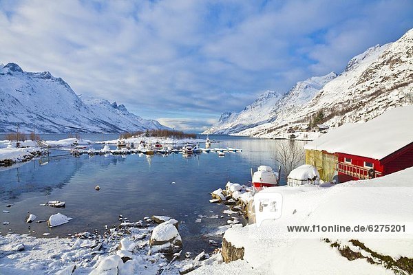 Europa  vertäut  Dorf  Norwegen  Bootshaus  Fjord  Skandinavien  Troms