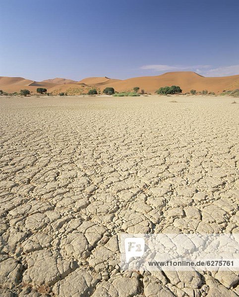 Sand  zerreißen  Düne  Afrika  Schlamm  Sossusvlei