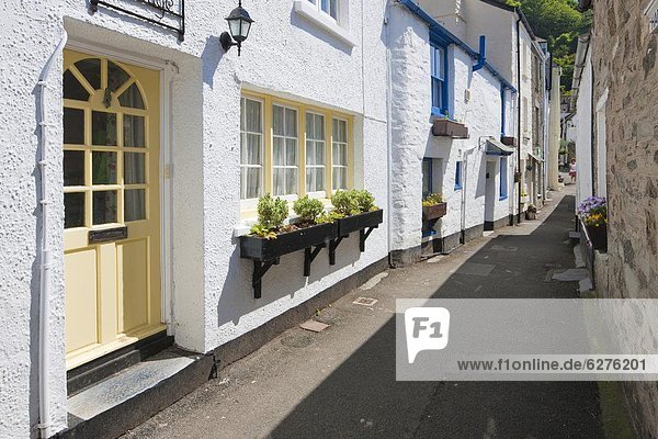 Traditional houses in a back street in Polperro  Cornwall  England  United Kingdom  Europe